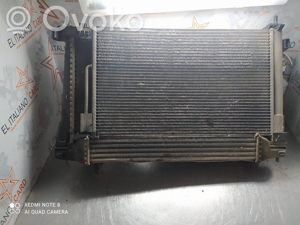 Coolant radiator   L8071004,8537