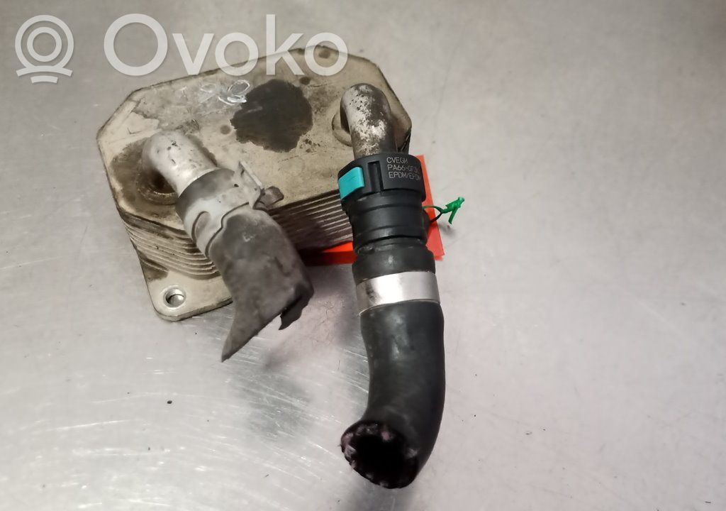Engine oil radiator   N2439B,8583
