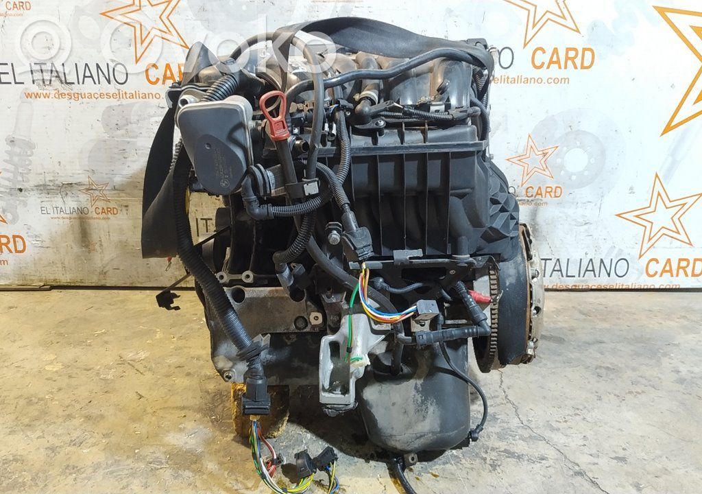 Variklis   N42B18A