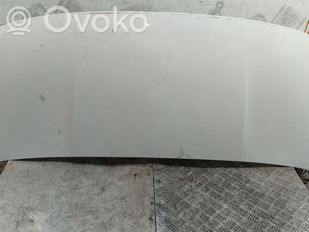 Dzinēja pārsegs (vāks)