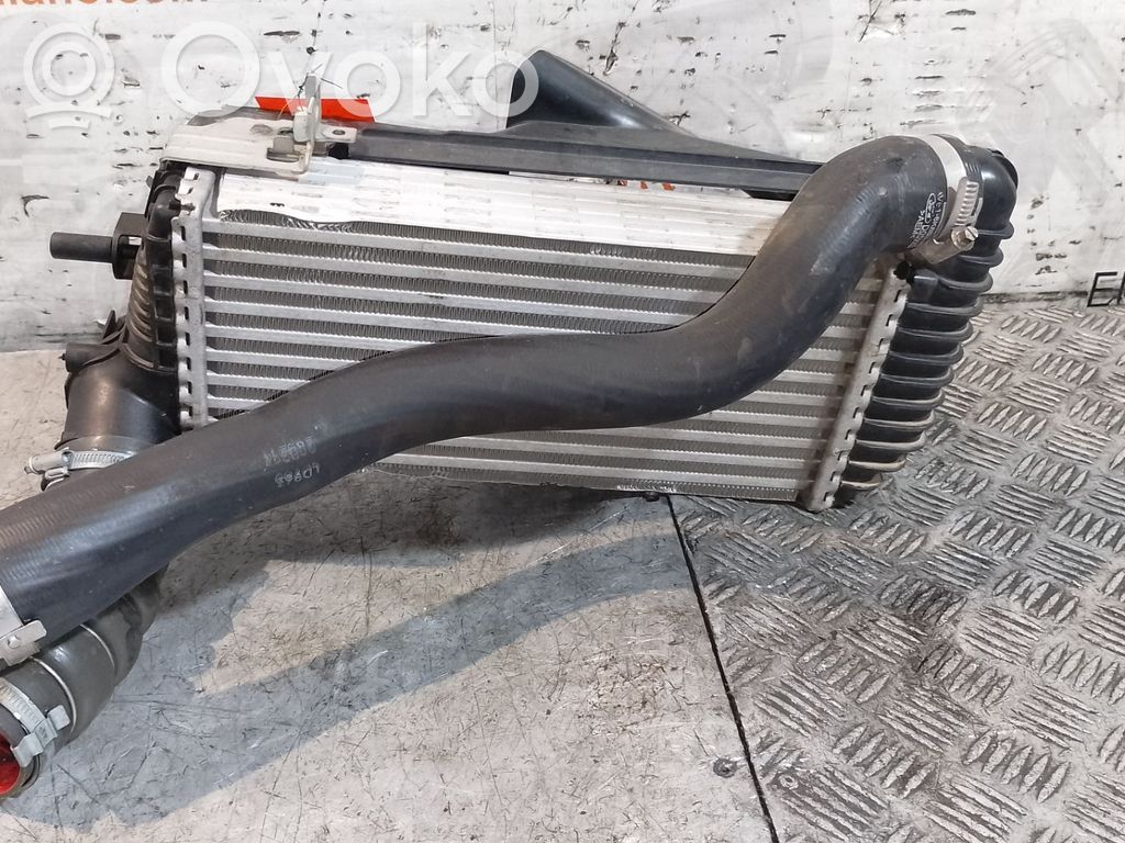 Interkūlerio radiatorius   BV619L440CJ