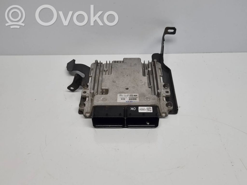 KIA Optima Engine control unit/module 