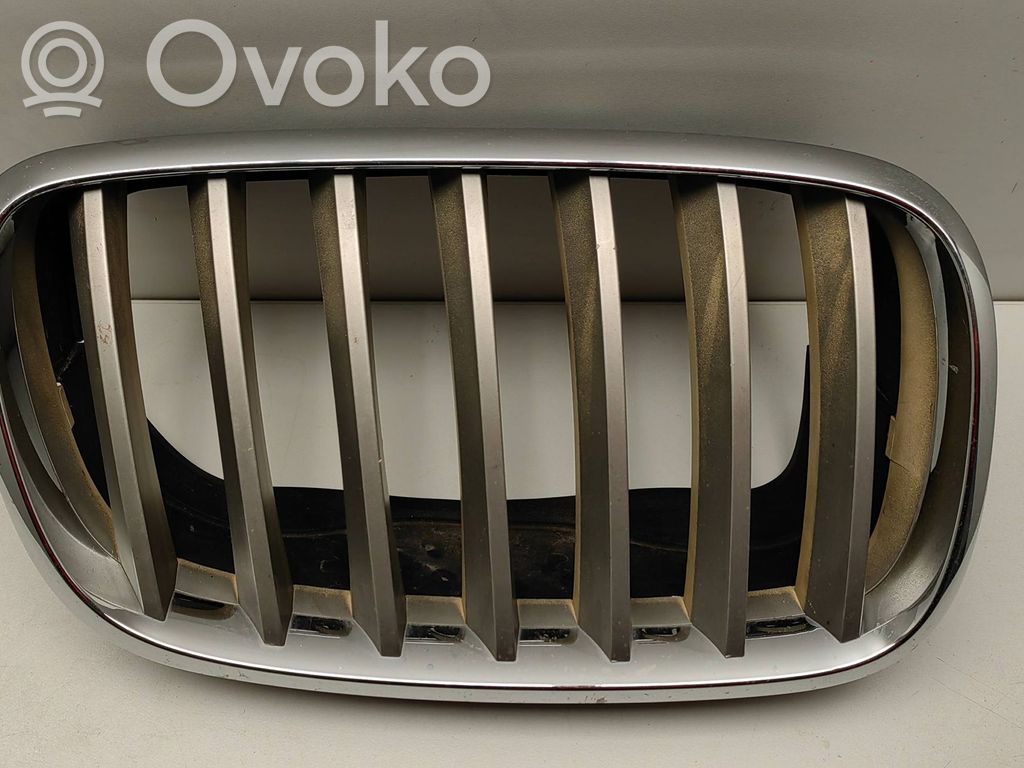 BMW X5 E70 Front bumper upper radiator grill 