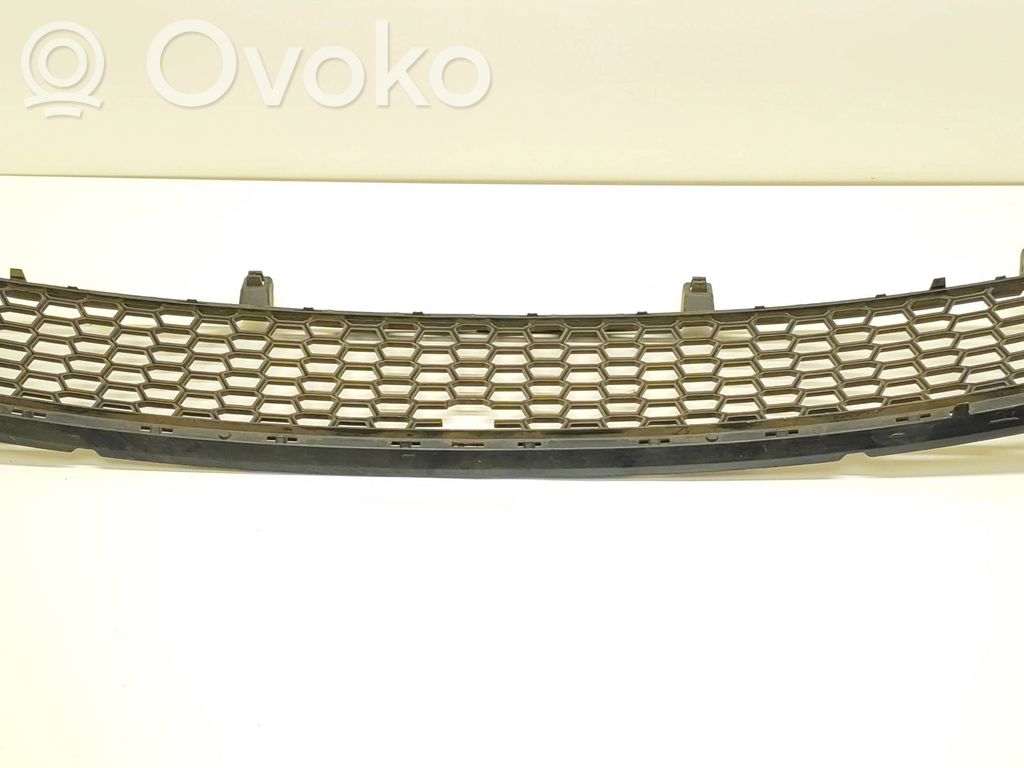 BMW X5 E70 Front bumper lower grill 