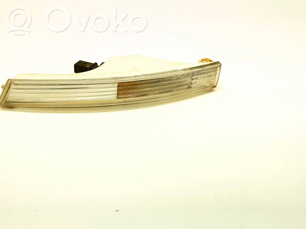 Volkswagen PASSAT B6 Front indicator light 