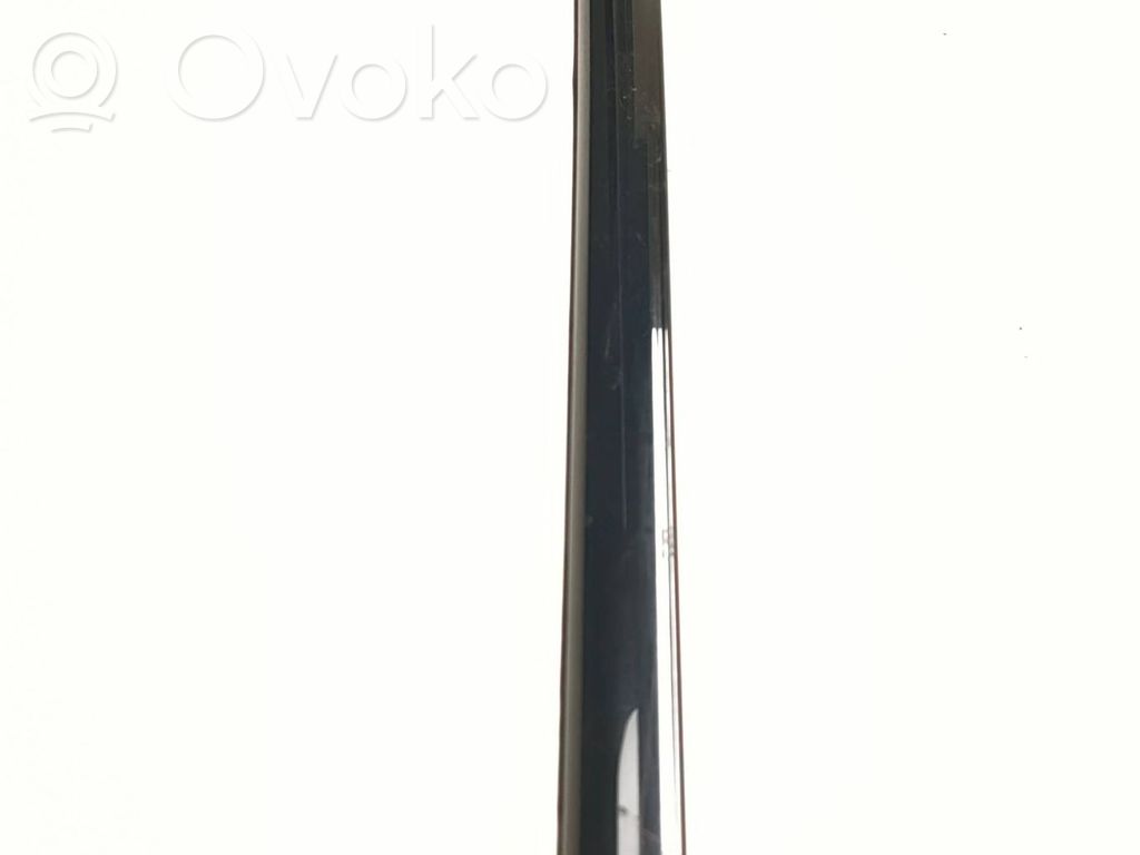 Listwa / Uszczelka szyby drzwi tylnych   61085871,7185232