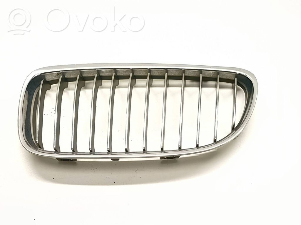 Front grill   51137201969,22405910
