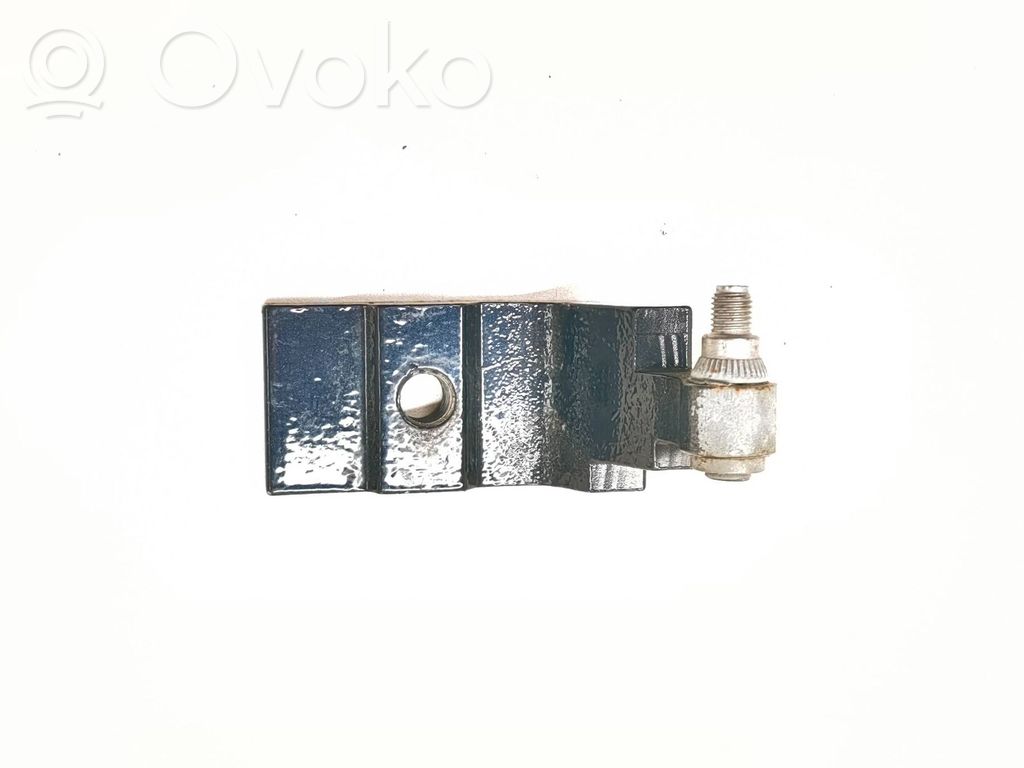 BMW X5 E70 Rear door lower hinge 