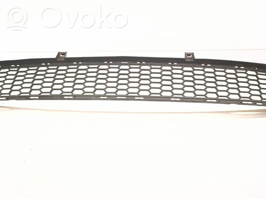 BMW X5 E70 Front bumper lower grill 