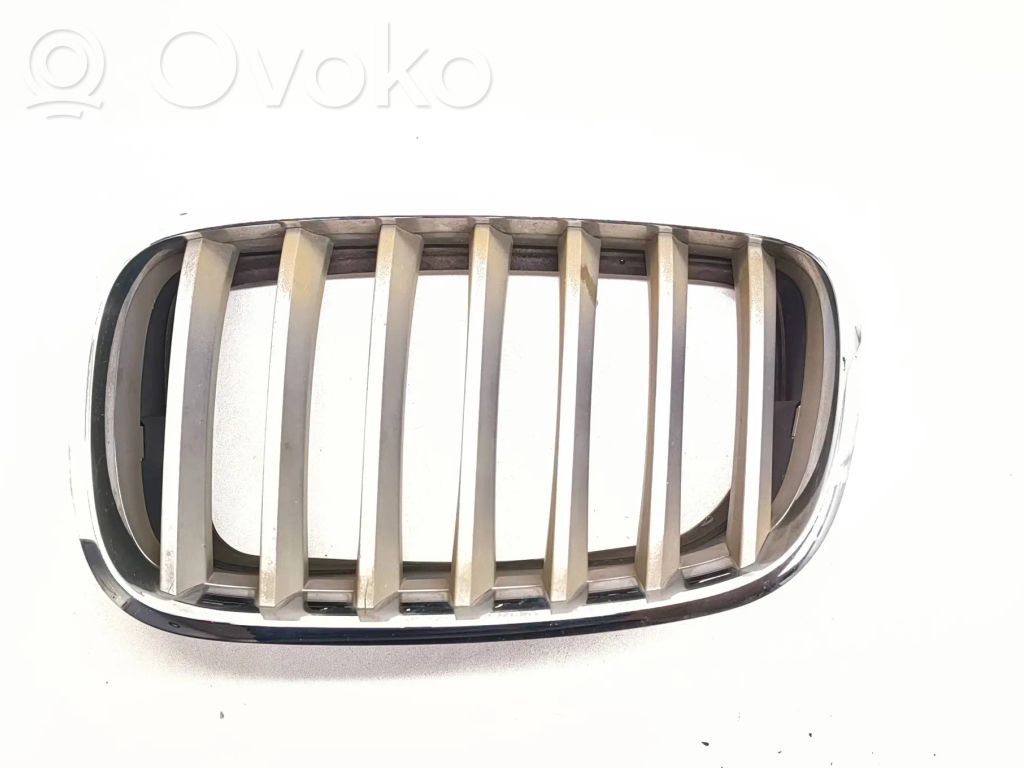 BMW X5 E70 Front grill 