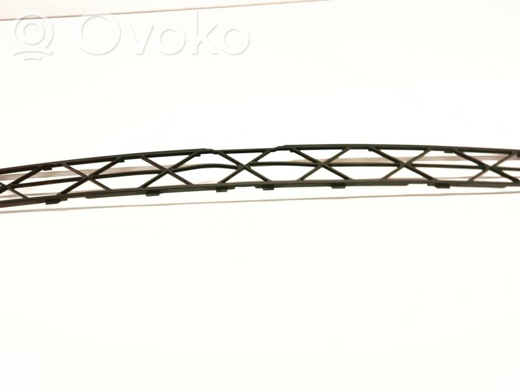BMW X5 E70 Front bumper lower grill 