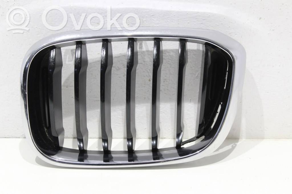 Maskownica / Grill / Atrapa górna chłodnicy   8091725
