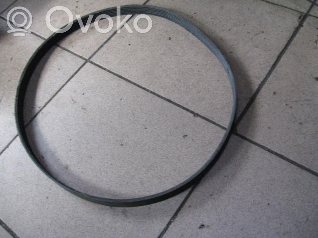 Renault Clio II Pasek klinowy alternatora 