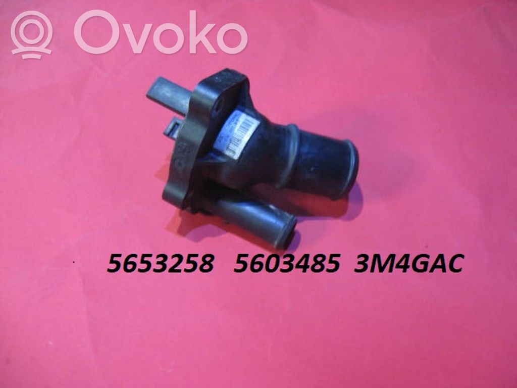 Termostaatin kotelo   5653258,5603485,3M4GAC