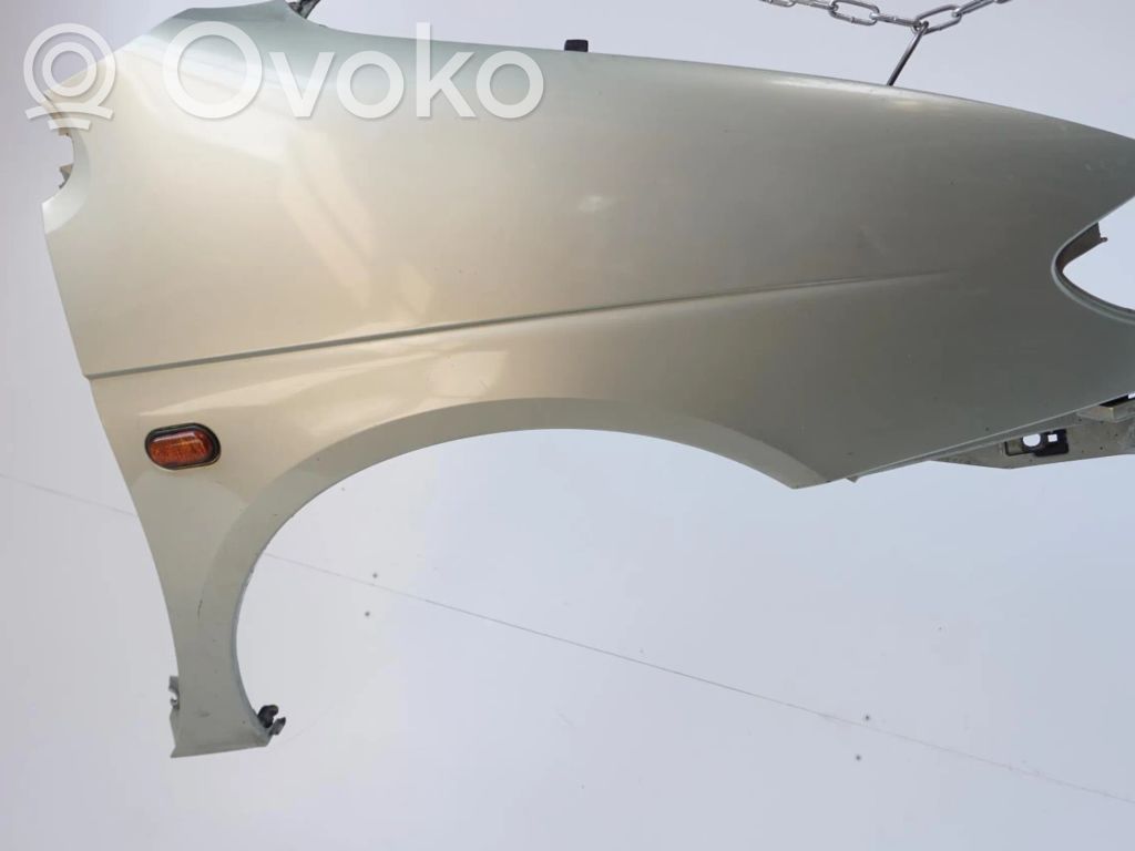 Renault Scenic I Guardabarro 