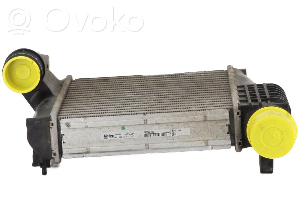 Interkūlerio radiatorius   9675627980