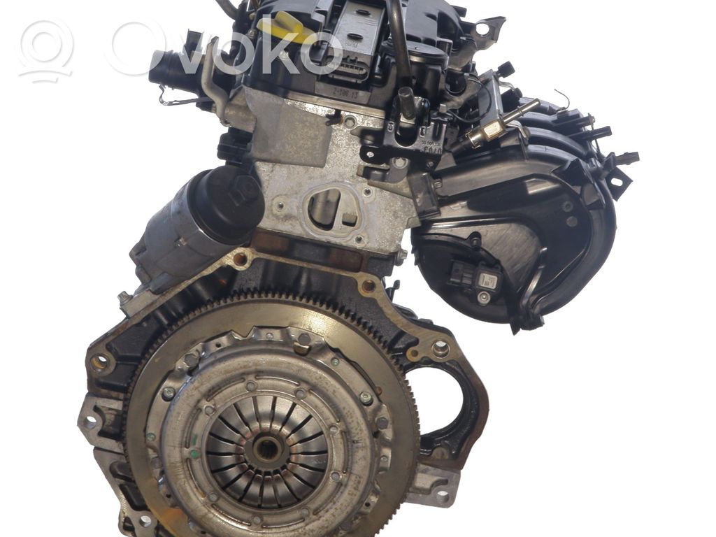 Engine   55579851