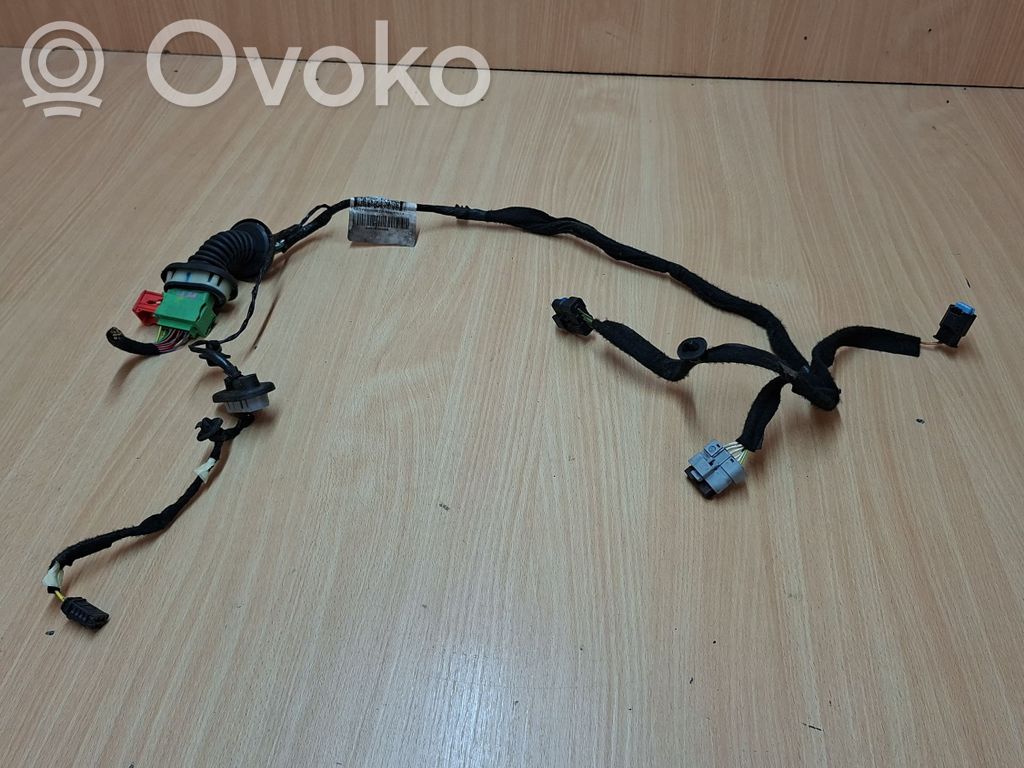 Cableado de puerta trasera   9807693080,9642931880,55VYR3005