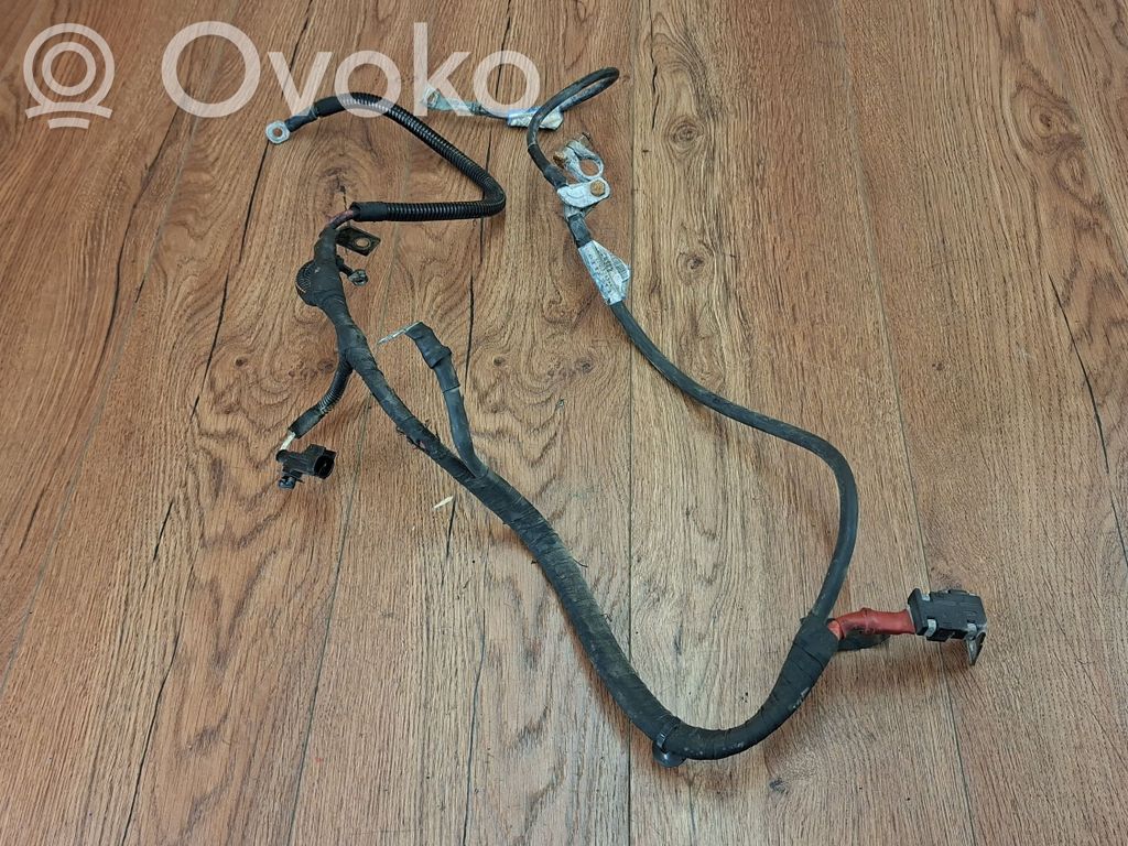 Renault Vel Satis Cavo positivo (batteria) 