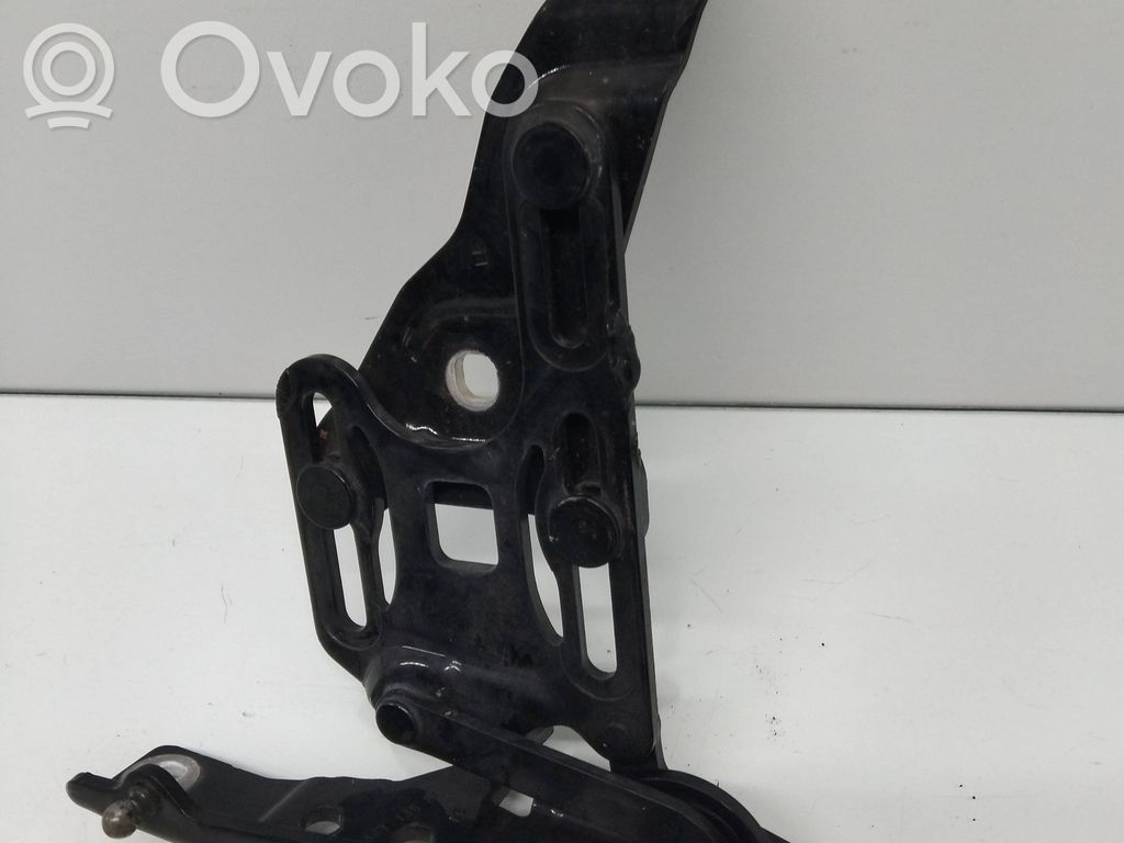 BMW X6 E71 Engine bonnet/hood hinges 