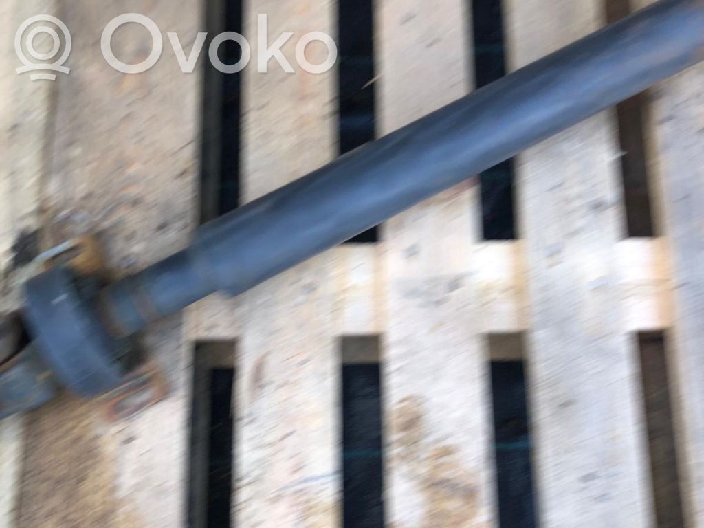 Drive shaft (set)