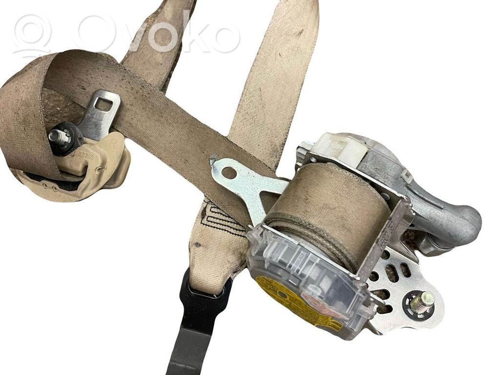 Cinturón delantero   G087901