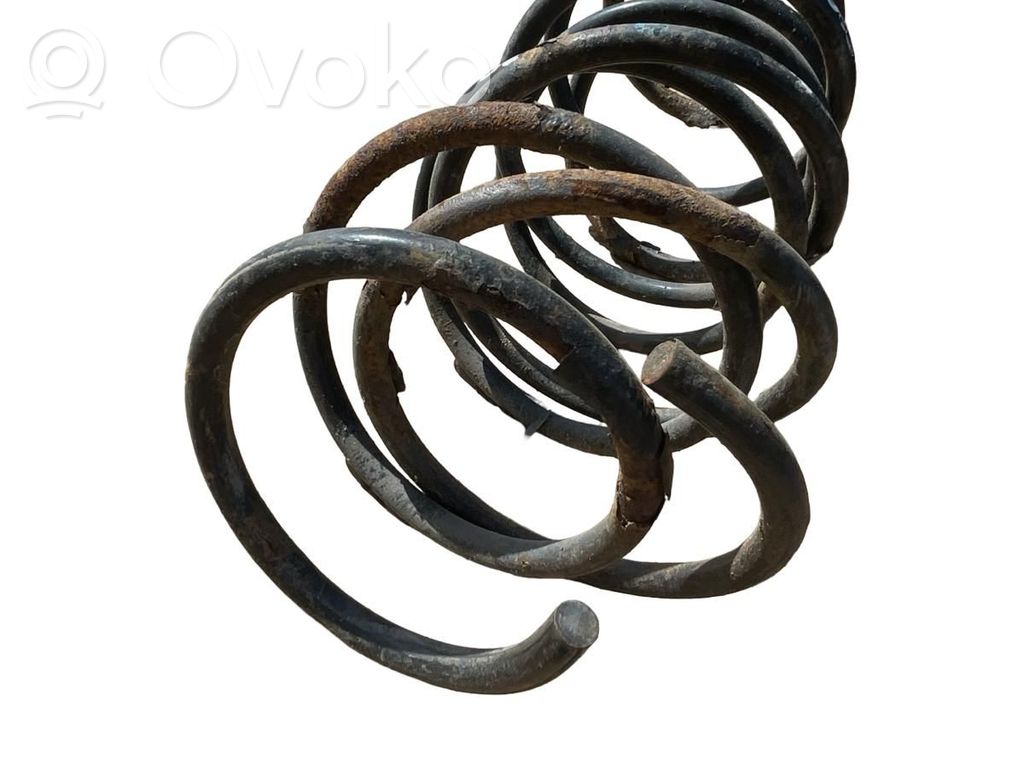 Front coil spring