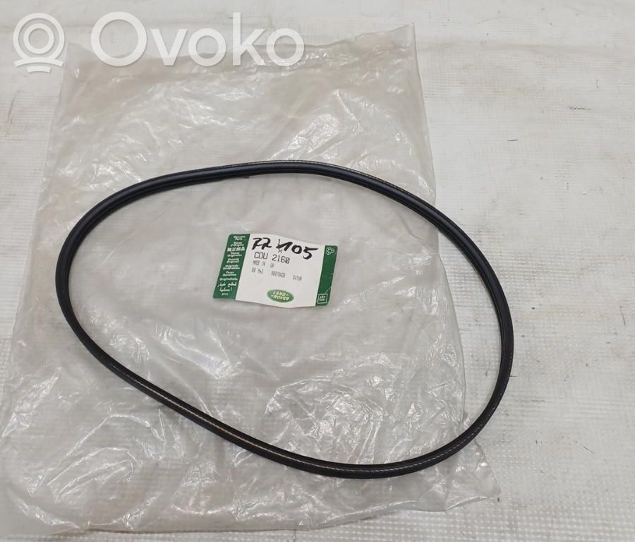 Rover Land Rover Pasek klinowy alternatora 