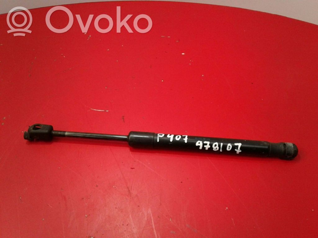 Peugeot 407 Tailgate/trunk strut/damper 