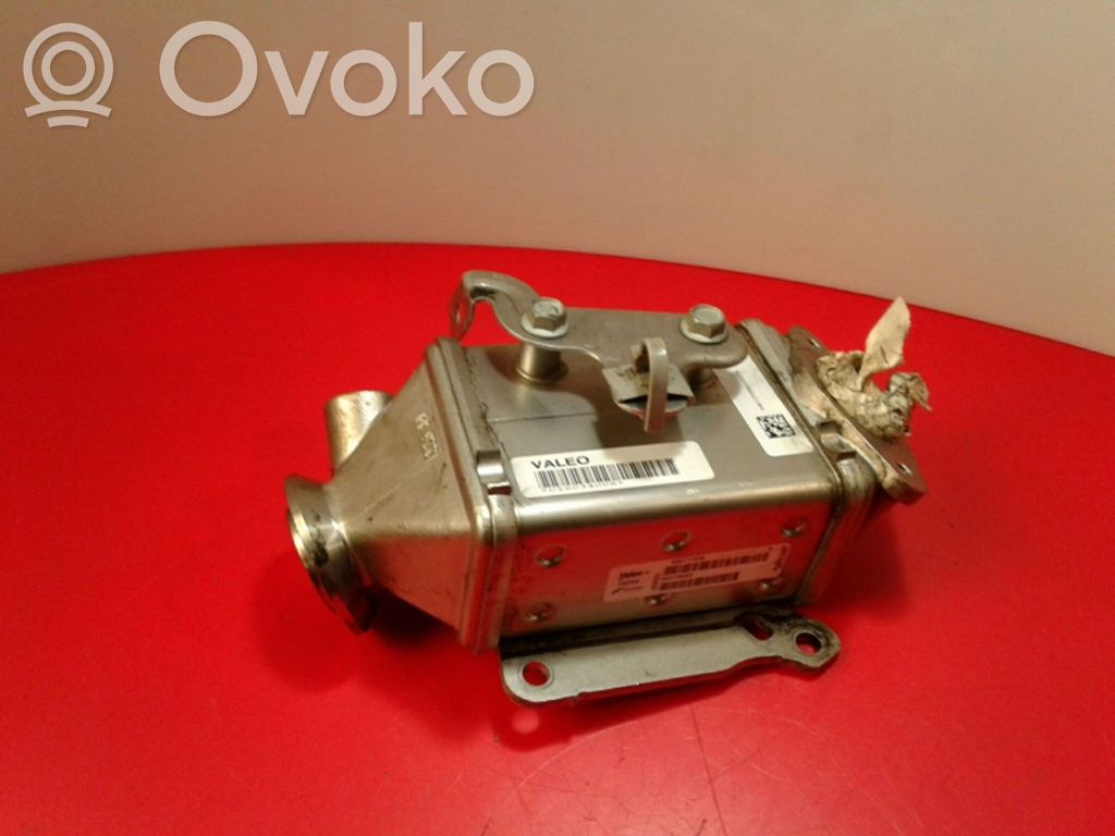 EGR aušintuvas   55273563