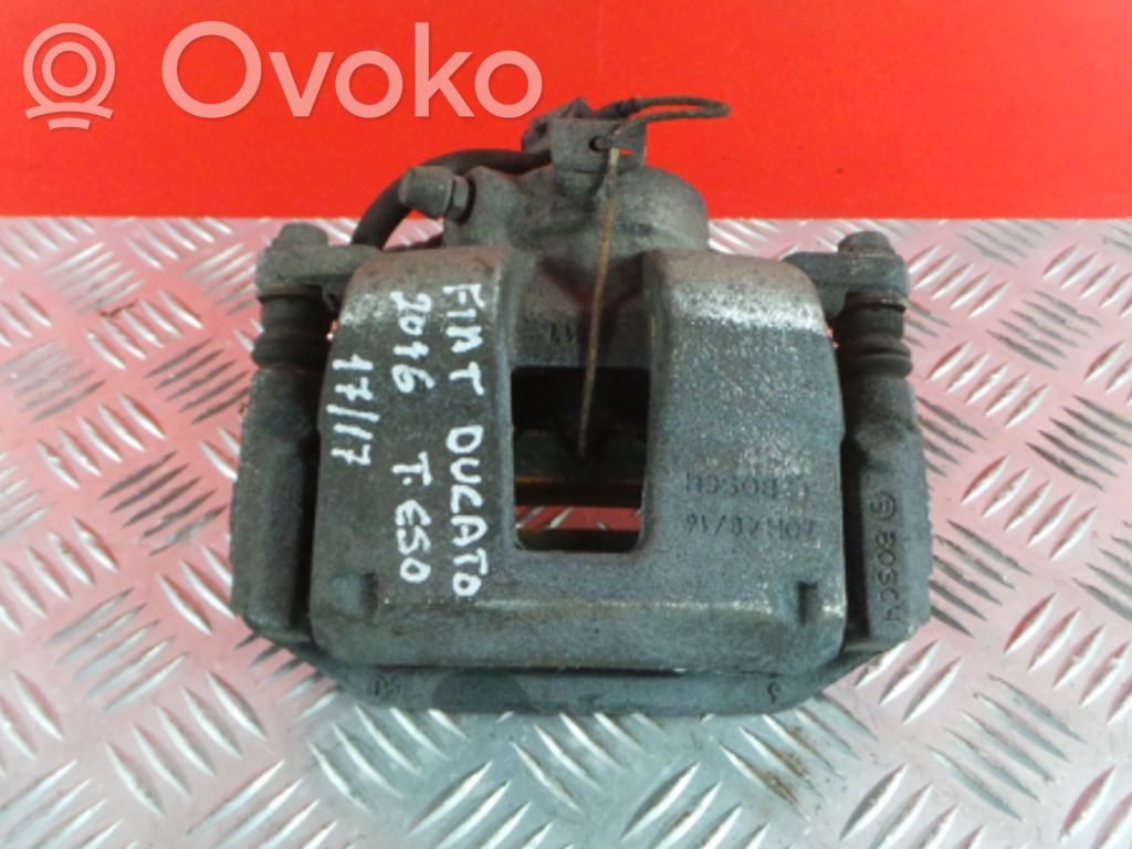 Takajarrusatula   ZOH4816,4816