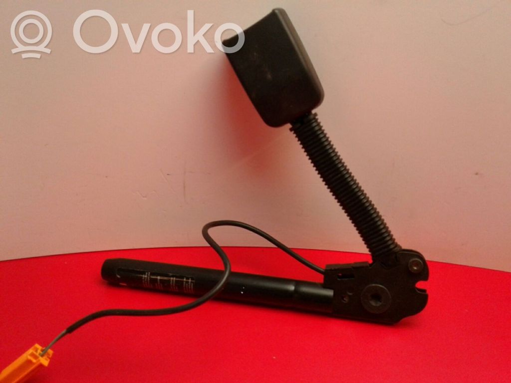Cinturón delantero   560555173A