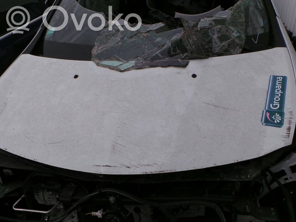 Dzinēja pārsegs (vāks)   12073,76