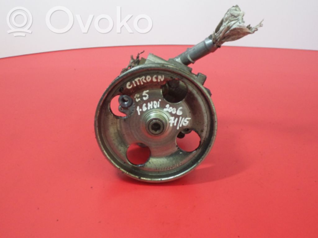 Power steering pump   9696405380,7617955538