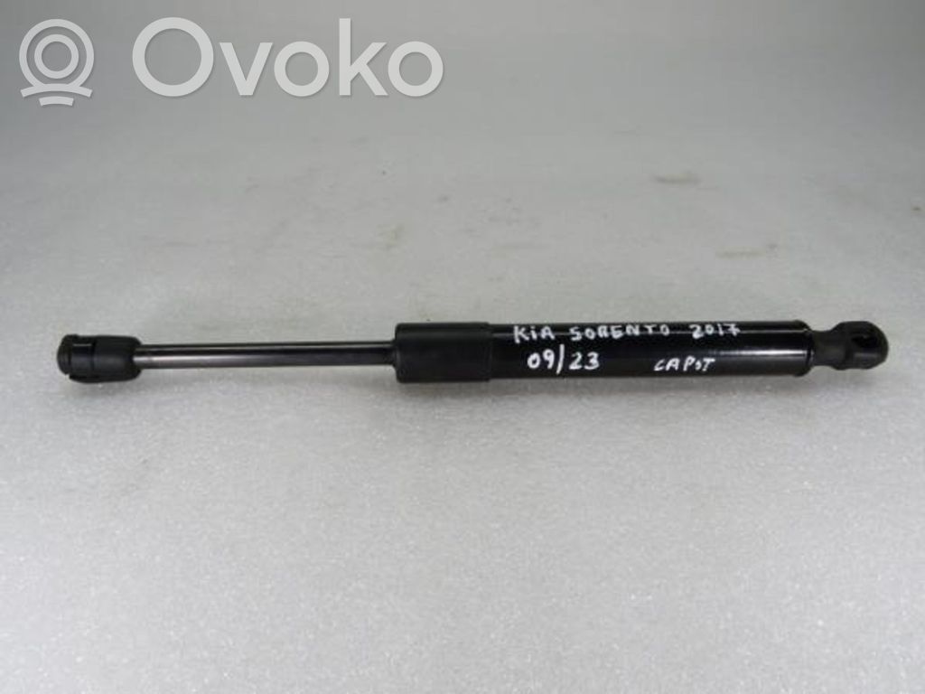 KIA Sorento Ammortizzatore portellone anteriore/cofano 