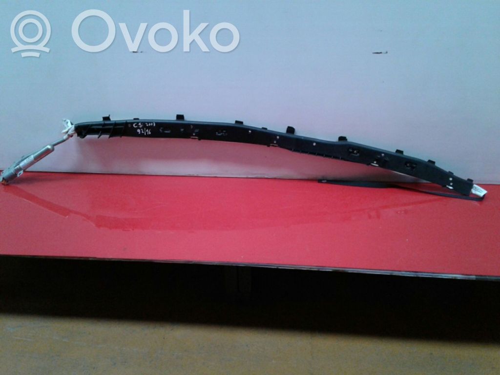 Airbag del techo   963454278002