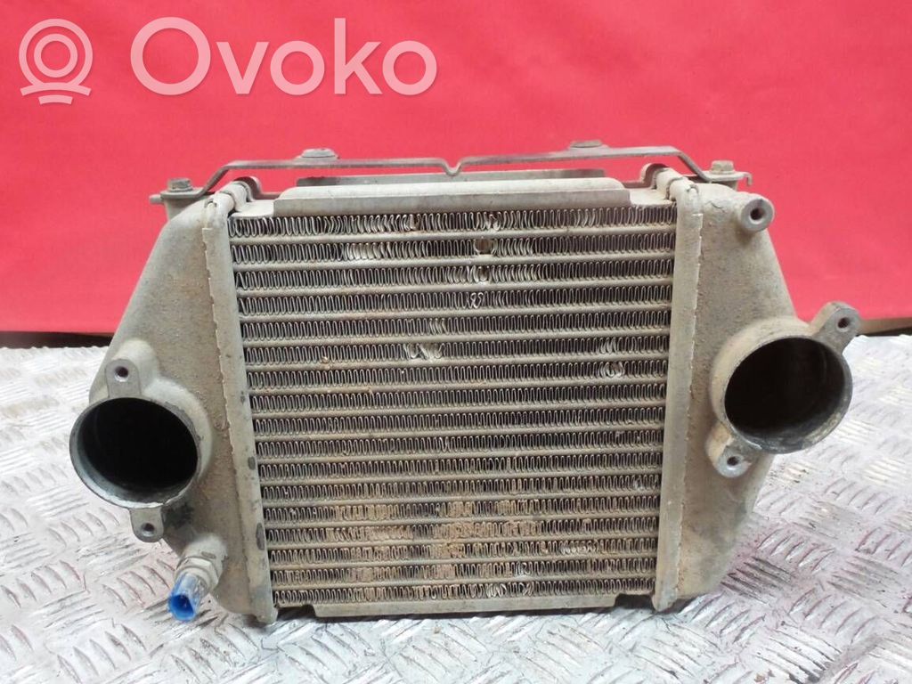 Intercooler radiator   1271001550,229899,39