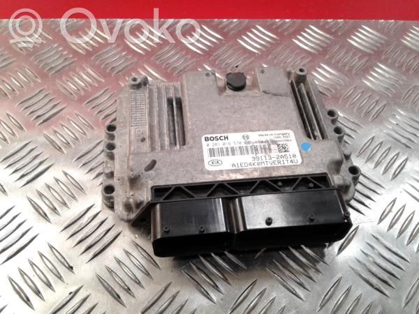 Engine control unit/module   0281,016,391132A510