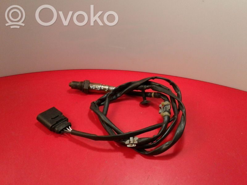 Sonde lambda   030,0258006219,262,906