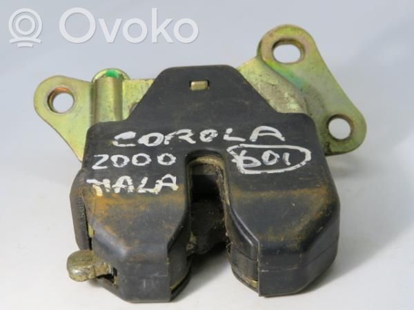 Tailgate exterior lock