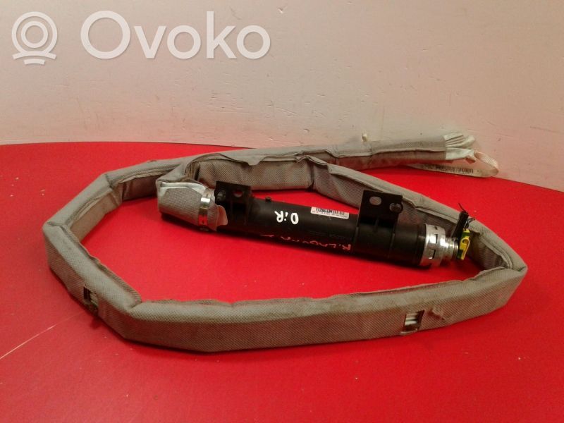 Airbag del techo   8200146168