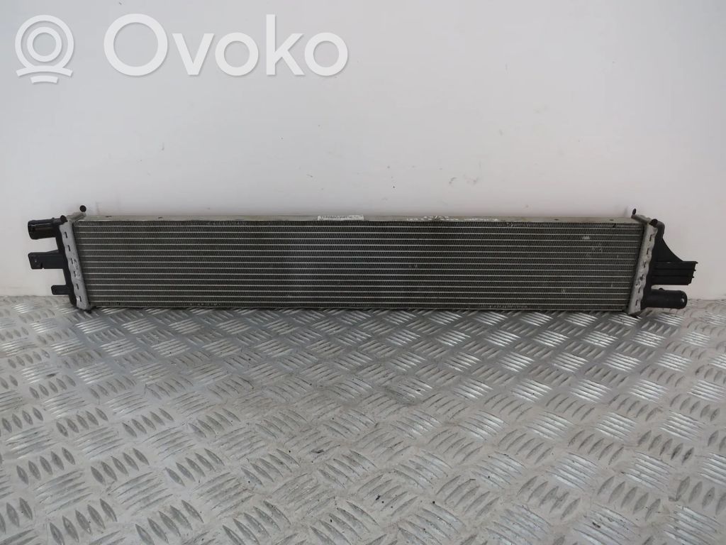 Renault Master III Aušinimo skysčio radiatorius 