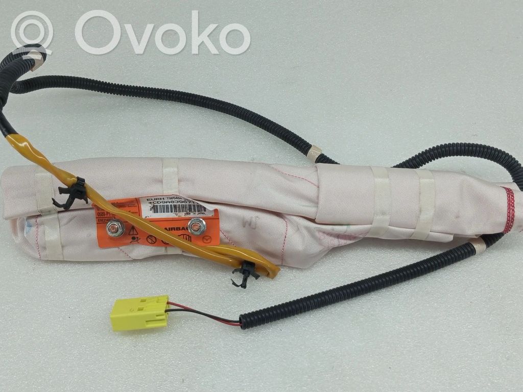 Airbag del asiento   0589P1000679