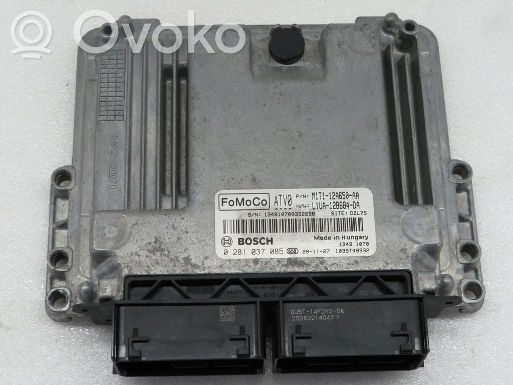 Dzinēja vadības bloks   0281037085