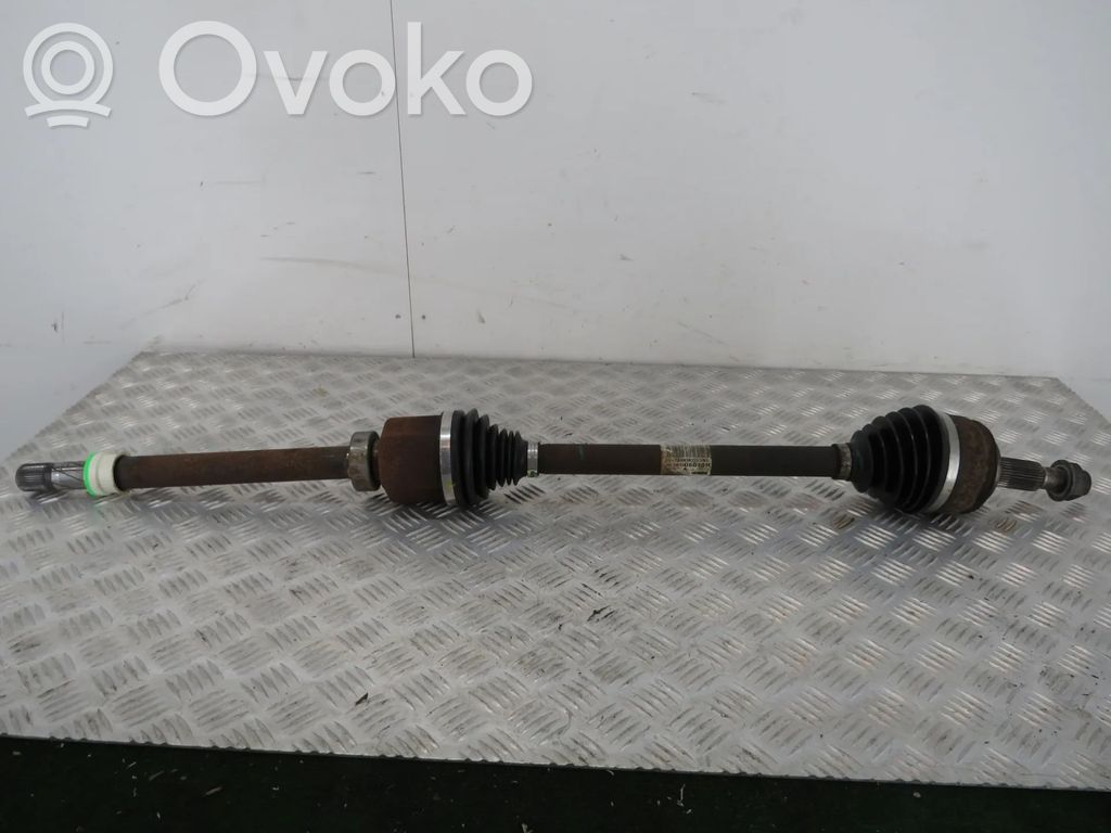 Priekšējā pusass   391006019R