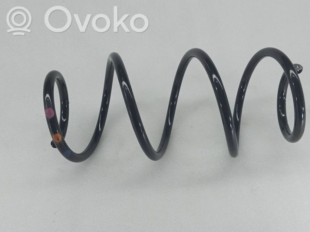 Rear coil spring