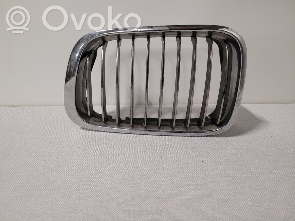 Kühlergrill   8195055