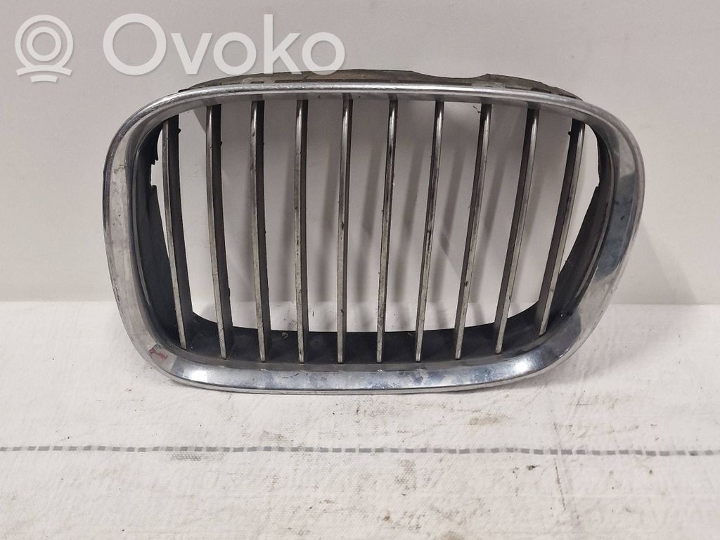 Kühlergrill   8159311