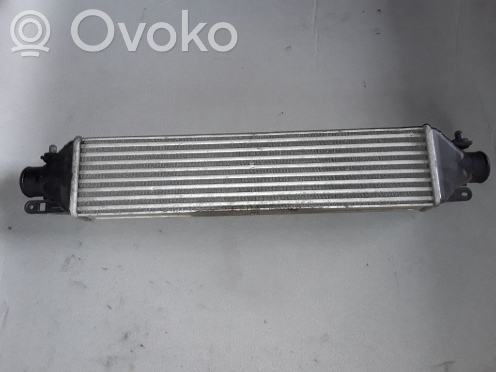 Interkūlerio radiatorius   896255500