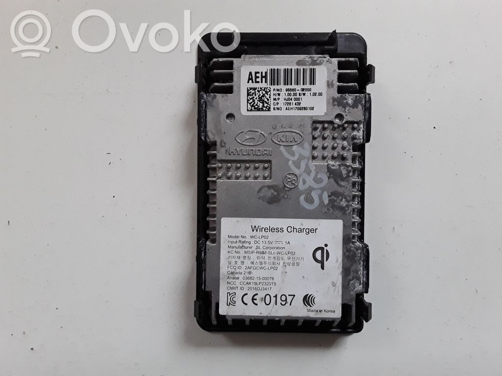 Hyundai Ioniq Other devices 
